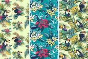 Big Tropical Set: patterns & frames, a Pattern Graphic by VasilkovS (Thumbnail 5 of 7)