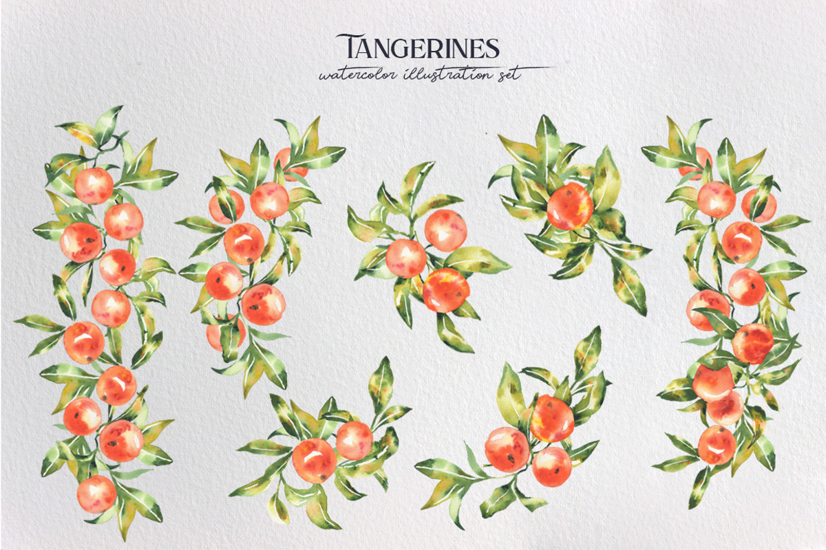 Watercolor tangerines, an Illustration by LiliaUdod (Photo 2 of 7)