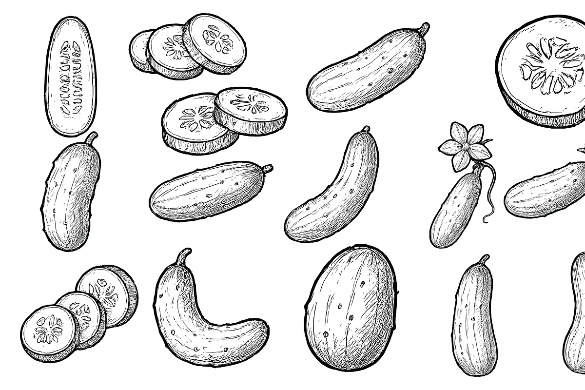 Cucumber Sketch Set, an Object Graphic by nikagraphic