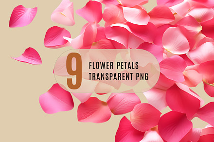 Flower petals transparent png