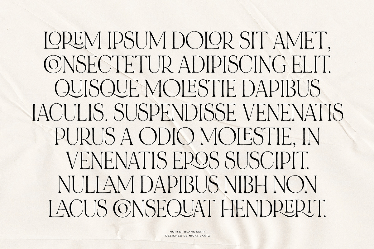 NOIR et BLANC Stylish Serif, a Serif Font by Nicky Laatz (Photo 41 of 41)