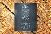 Pumpkins. Graphic collection, an Object Graphic by Vera●Suleimanova (Thumbnail 3 of 14)