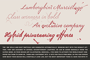 Italix - Script Font Family, a Handwritten Font by Punch (Thumbnail 10 of 10)