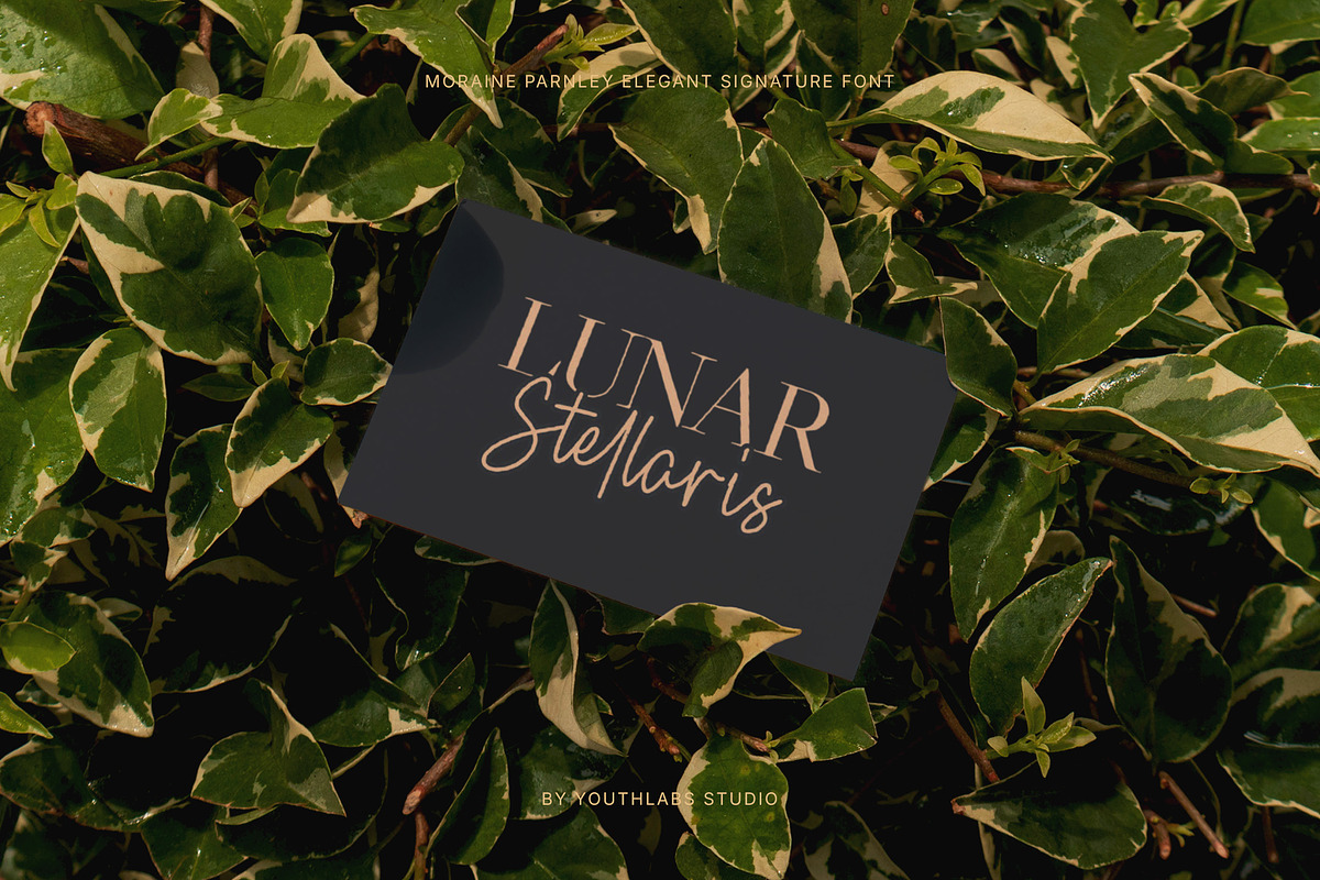 Moraine Parnley - Elegant Signature, a Handwritten Font by Youthlabs Studio (Photo 9 of 12)