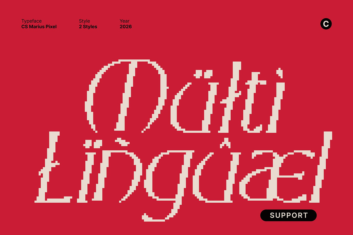 CS Marius Pixel, a Serif Font by Craft Supply Co. (Photo 5 of 8)