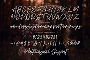 Bumgreks Signature - Stylish Script, a Script Font by Sealoung (Thumbnail 10 of 11)
