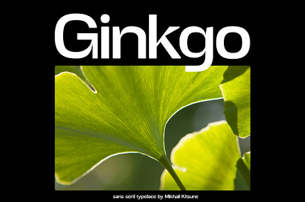 Ginkgo - Unique Sans Serif, a Sans Serif Font by Mikhail Kitsune