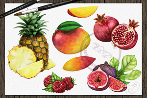 Fruit Watercolor Illustration