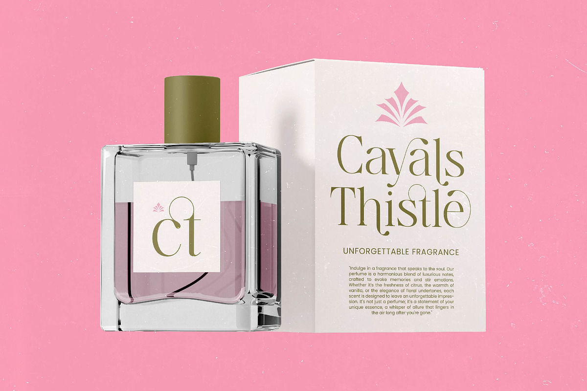 Bagvan Anstic Elegant Serif Font, a Serif Font by timelesstype.co (Photo 9 of 20)