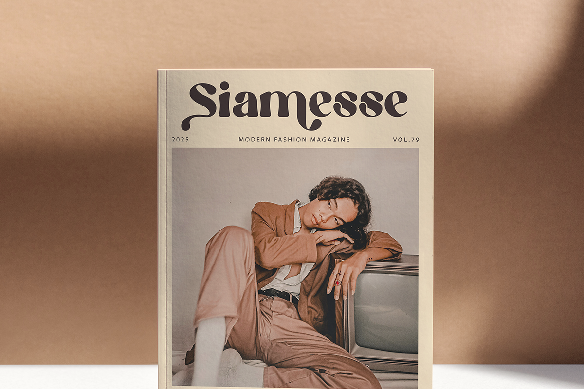 Praline - Modern Retro Font, a Serif Font by Font Liner (Photo 2 of 13)