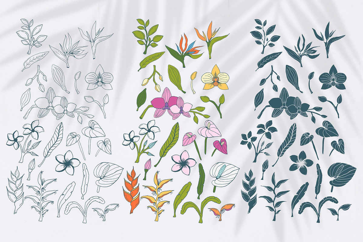 Summer florals & geometric patterns, a Decorative Illustration by CapriceMeDesigns (Photo 4 of 18)