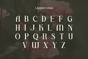 Realugi, a Serif Font by Rishsketch (Thumbnail 8 of 13)