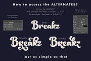 Calefornia Bold Script, a Handwritten Font by yellowline (Thumbnail 3 of 7)