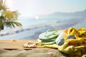Beach Accessories on Sunny Tropical Shore, a Holiday Photo by Davizro's Market
