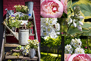 Garden Photo Set 31 pics preview 5
