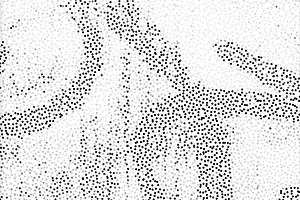 Scrawl Stipple