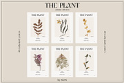 The PLANT. Autumn collection, a Pattern Graphic by NKTN (Thumbnail 13 of 18)