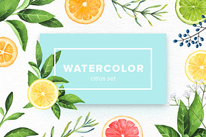 Watercolor Citrus Set