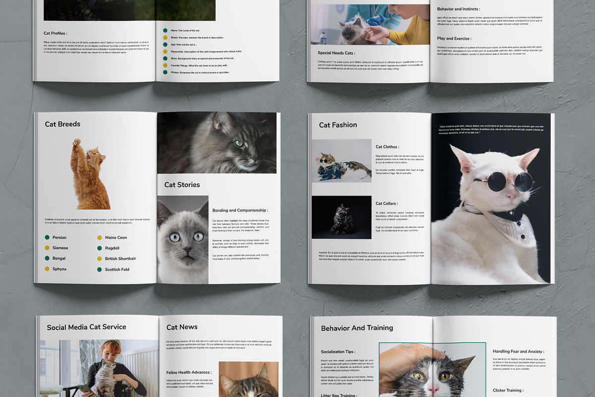 Cat Magazine Layout, a Magazine Template by MightyDesign (Photo 2 of 7)