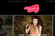 Raspberry Dark Blogger Template, a Websites & App Template by Yo..! Templates (Thumbnail 1 of 2)