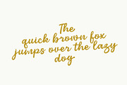 Armor - Elegant Script Font, a Script Font by HRDR (Thumbnail 11 of 13)