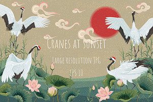 Cranes At Sunset. Vector Background