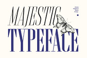 Brozeri - Casual Serif Family, a Serif Font by Arterfak Project (Thumbnail 2 of 14)