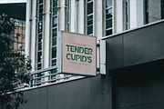 Porladek Display Serif Font, a Serif Font by Storytype Studio (Thumbnail 10 of 15)