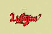 Lidyna Script, a Script Font by vanroem (Thumbnail 11 of 12)