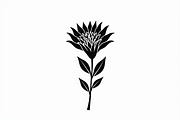 Black Floral Silhouette Set, an Illustration by balal (Thumbnail 15 of 21)