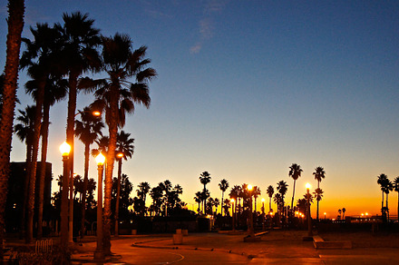 Sunrise palms featuring sunrise, blue, and orange preview 6