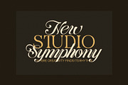 The Disma Calligraphy Script Font, a Script Font by Elegant Font (Thumbnail 3 of 10)