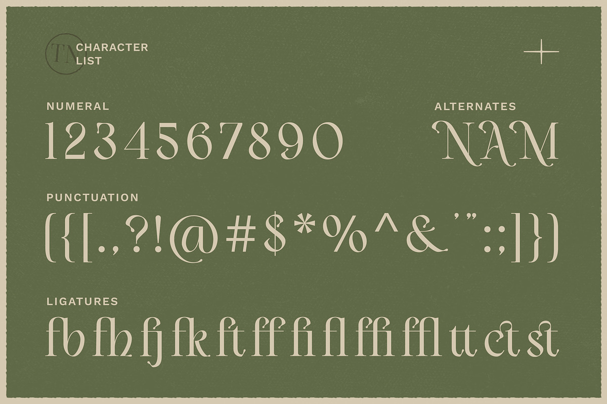 Vailnoise - Classic Vintage Serif, a Serif Font by Typia Nesia (Photo 3 of 16)