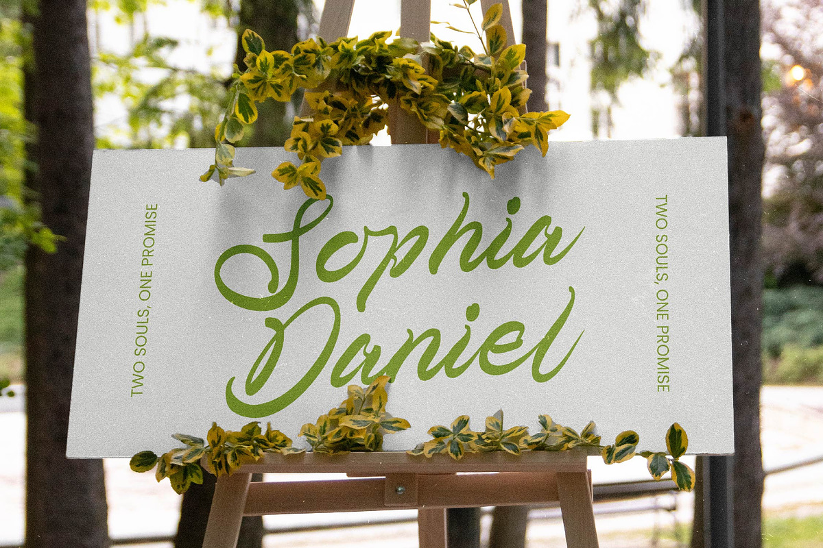 Telmi Bonsha Elegant Brush Script, a Script Font by stylishtype.co (Photo 10 of 10)