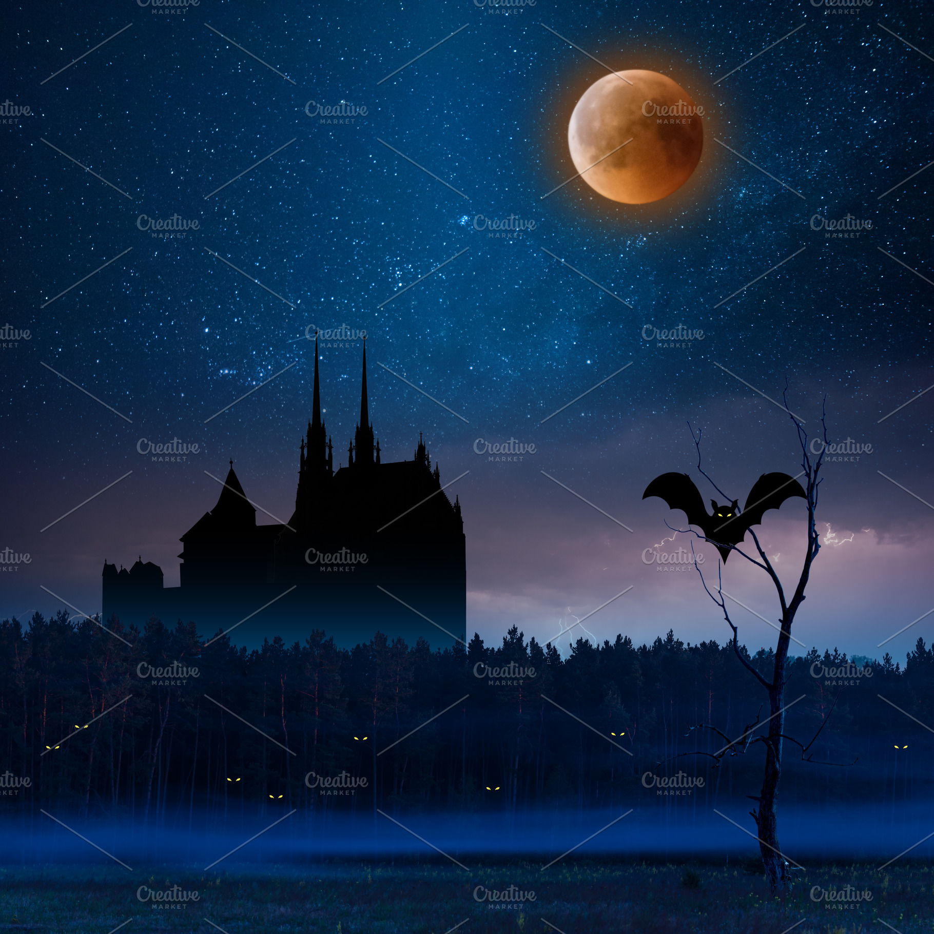 Night landscape with stars and blood, a Holiday Photo by firewings
