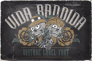 Vida Bandida, a Symbol Font by VozzyStock (Thumbnail 3 of 6)