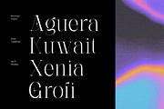 Artik - Modern Serif Font, a Serif Font by Nirmana Visual (Thumbnail 7 of 10)