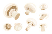 Champignon mushroom set, a Food Illustration by Good Studio (Thumbnail 2 of 3)
