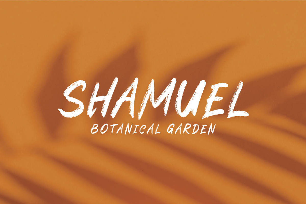 Sheets Cheats - Handwritten Brush, a Handwritten Font by tebaltipislab (Photo 10 of 10)