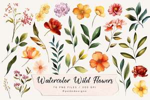 Watercolor Wild Flowers