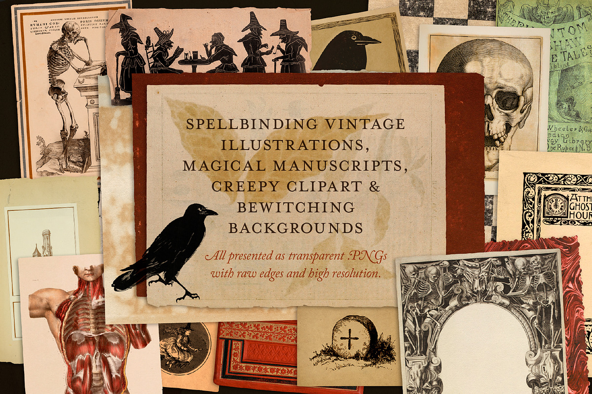 175 Vintage Halloween Ephemera, an Object Graphic by The Object Atlas (Photo 2 of 13)