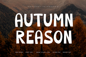 Autumn Reason - Tropical Font, a Sans Serif Font by Iqsiart Studio
