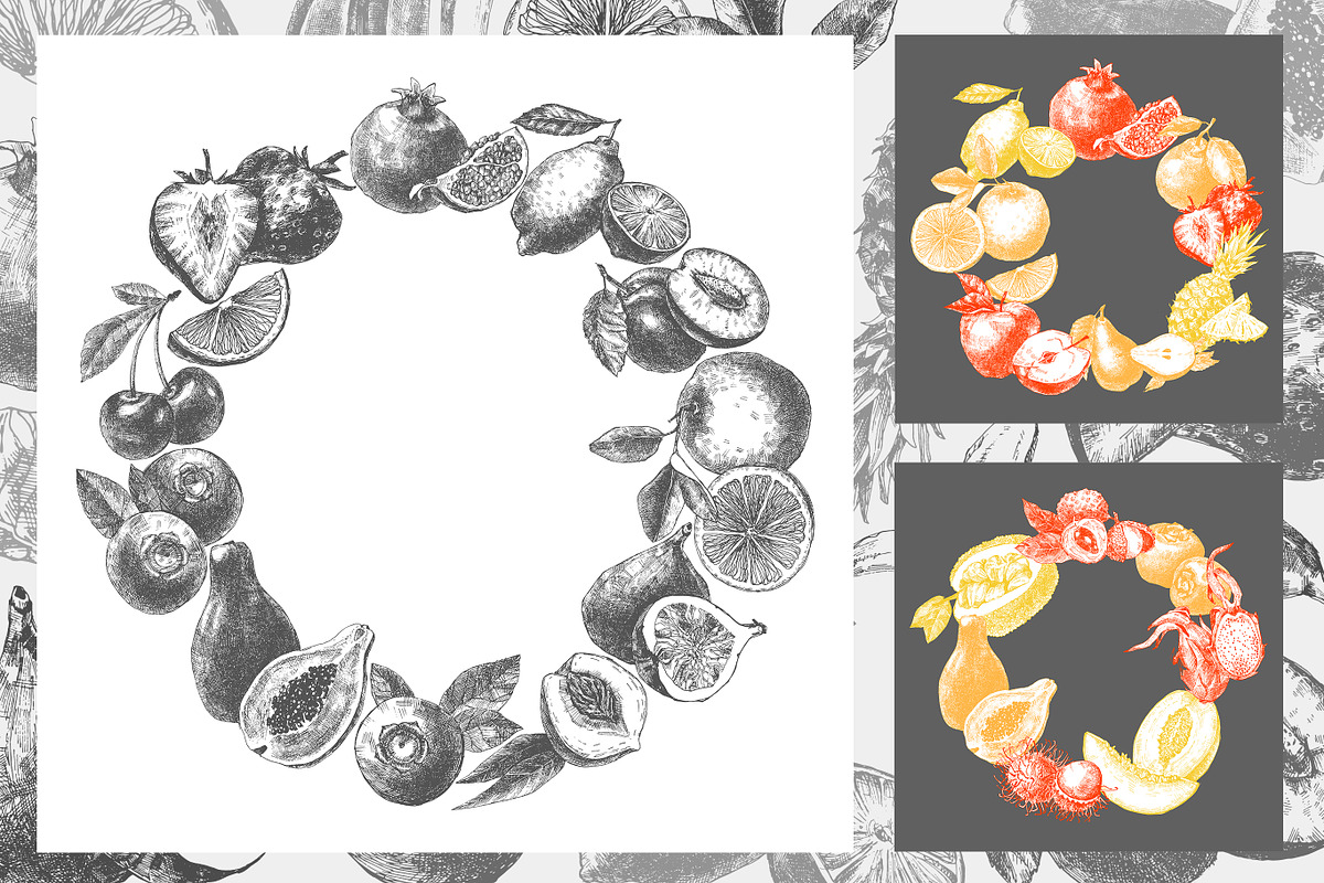 Delicious fruit collection, a Decorative Illustration by CARROTDESIGN (Photo 5 of 5)
