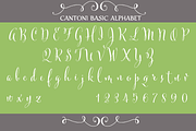 Cantoni Pro Hand Lettered Font, a Script Font by Debi Sementelli (Thumbnail 3 of 5)