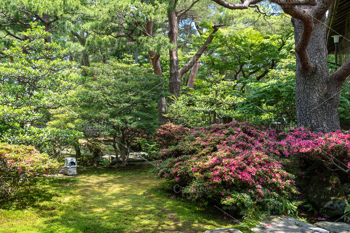 Garden of Seisonkaku Villa in Kenroku-en, Kanazawa, Japan, a Nature Photo by GoodGoods (Photo 1 of 2)