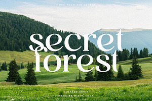 secret forest - vintage serif