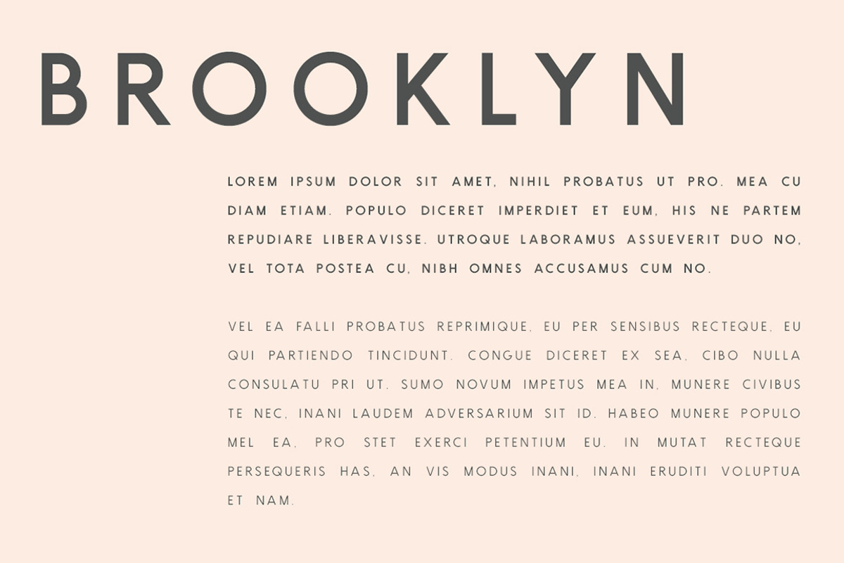 Brooklyn | Two Weight Font Family, a Sans Serif Font by Jen Wagner Co (Photo 3 of 8)