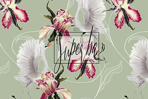 Superba, Luxury Floral Pattern