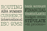 Wire Transfer 76, a Serif Font by Stiggy & Sands (Thumbnail 6 of 9)