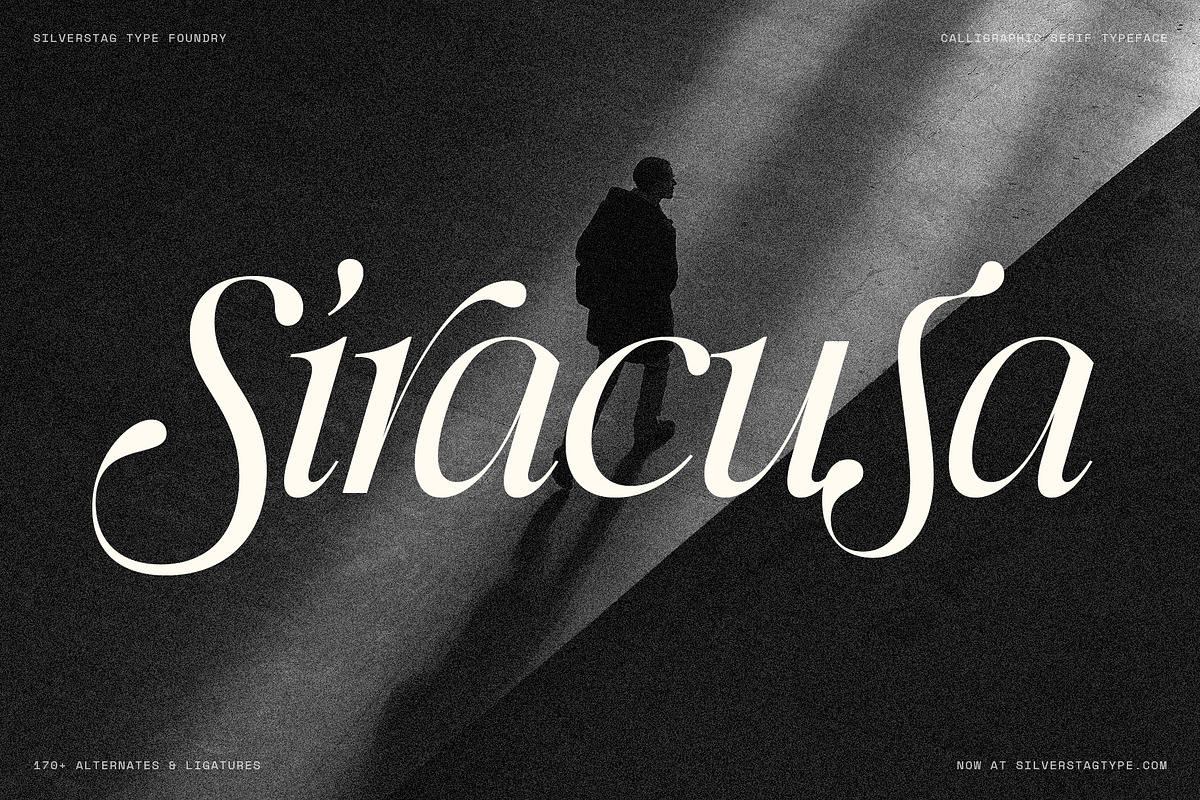 Netsera Calligraphic Serif Typeface, a Serif Font by SilverStag Type Foundry (Photo 21 of 30)